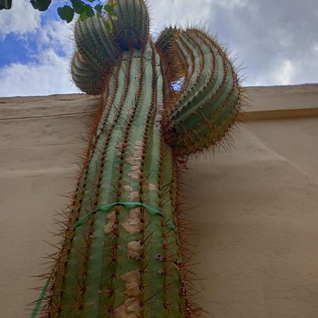 Hotel Del Sol Cafayate Εξωτερικό φωτογραφία