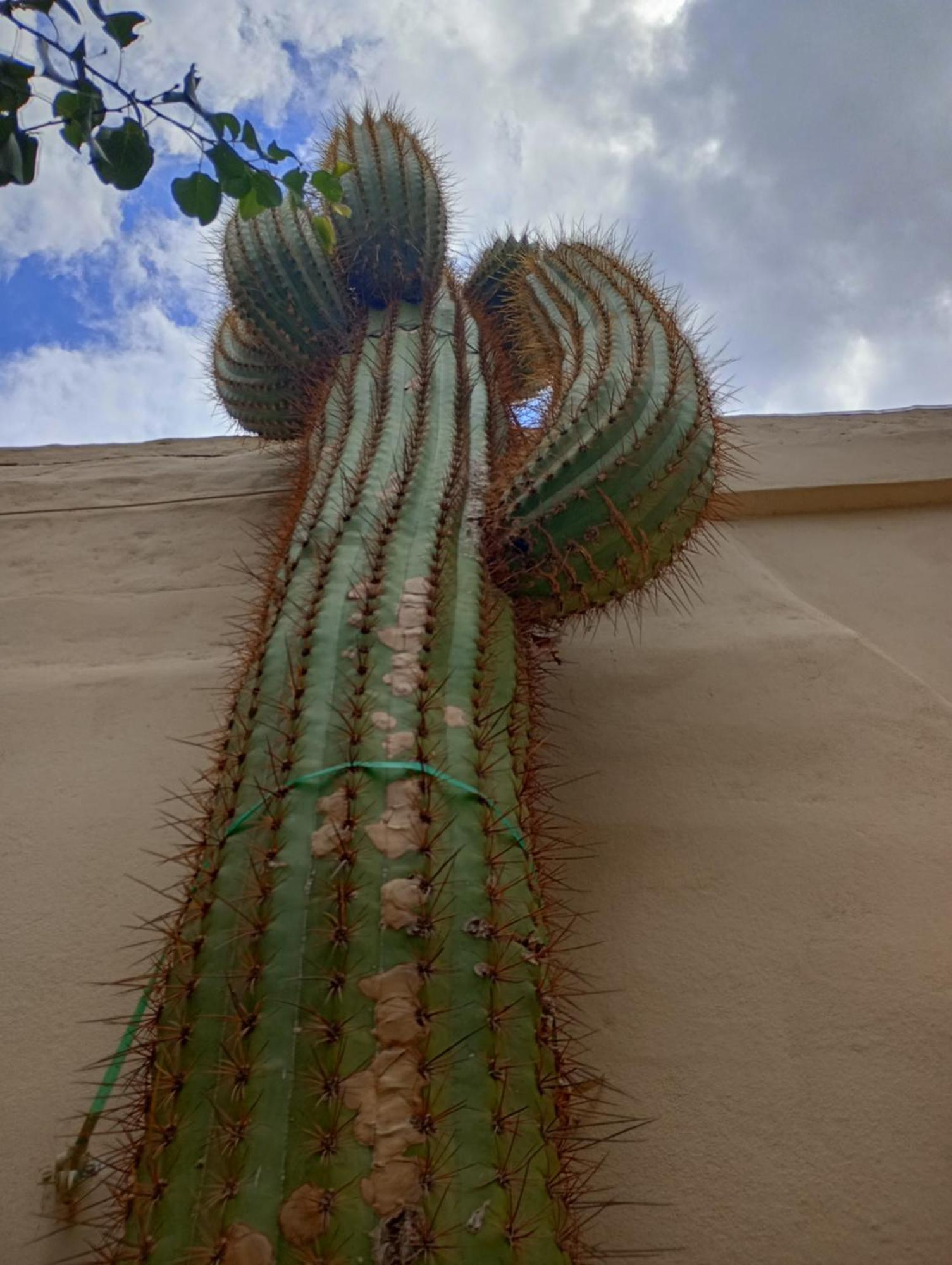 Hotel Del Sol Cafayate Εξωτερικό φωτογραφία
